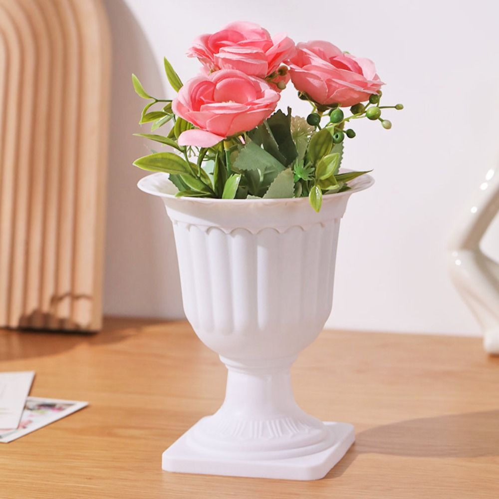 وعاء زهور صغير بتصميم قائم على - مراجعة Echeveria Succulent وسعره