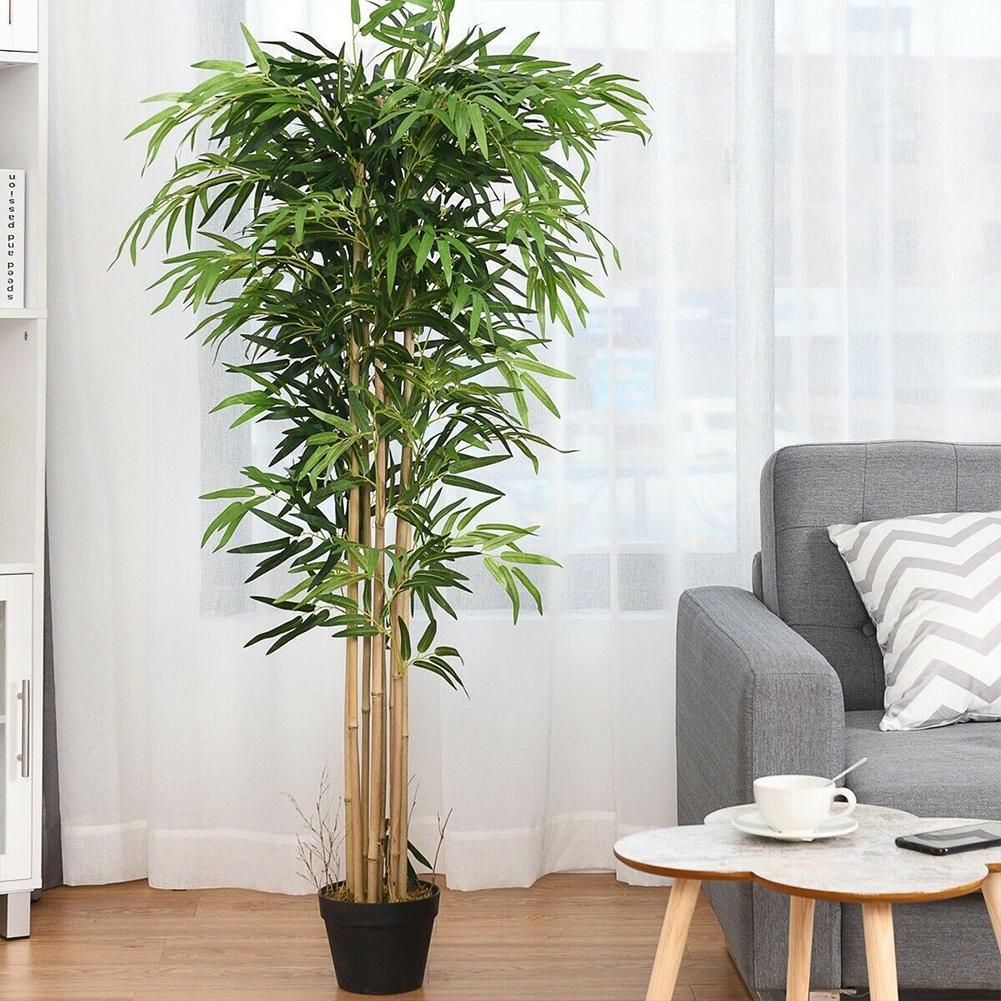 10 قطعة أوراق الخيزران الخضراء - مراجعة Ficus Lyrata Tree وسعره