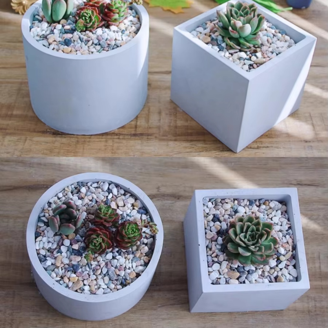قالب سيليكون كبير الحجم 15 سم  - مراجعة Echeveria Succulent وسعره