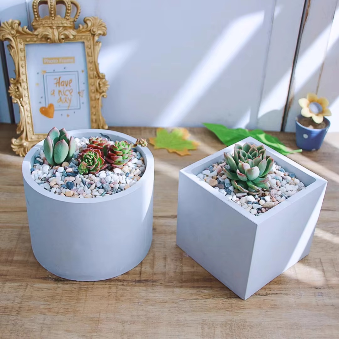 قالب سيليكون كبير الحجم 15 سم  - مراجعة Echeveria Succulent وسعره