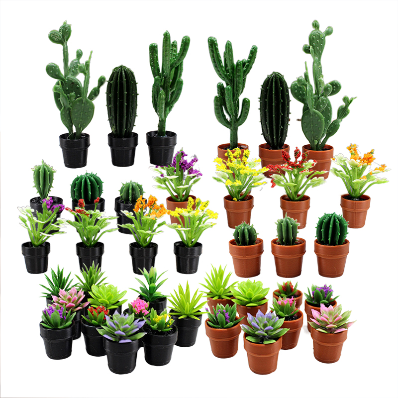 8 قطع من النباتات البلاستيكية  - مراجعة Echeveria Succulent وسعره