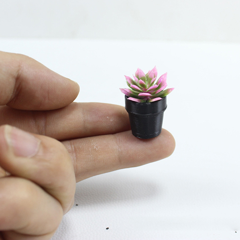 8 قطع من النباتات البلاستيكية  - مراجعة Echeveria Succulent وسعره