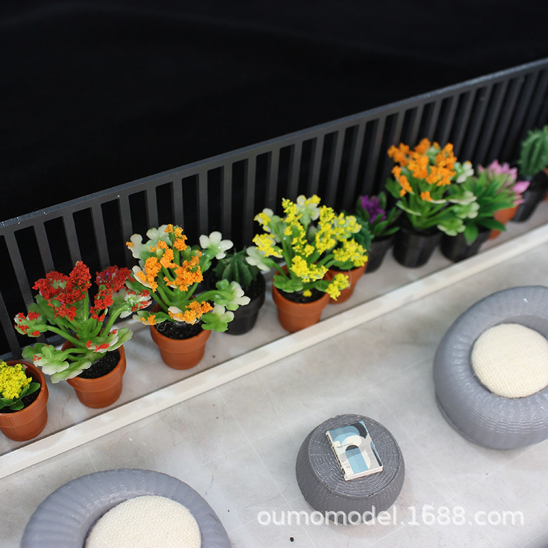 نباتات صغيرة مقلدة الصبار زهرة - مراجعة Echeveria Succulent وسعره